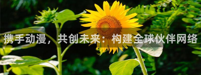 动漫天堂软件