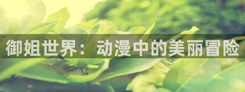成人动漫天堂