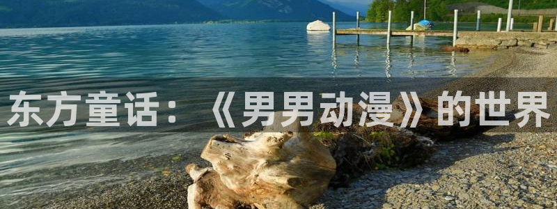 动漫天堂.cc：东方童话：《男男动漫》的世界