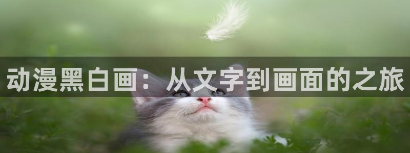 av动漫天堂网：动漫黑白画：从文字到画面的之旅