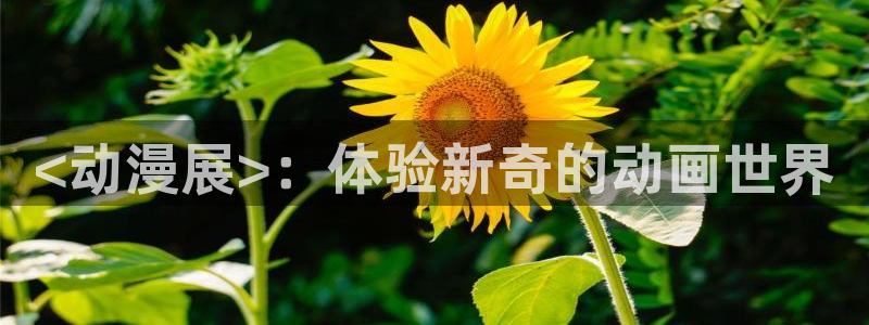 动漫天堂91：<动漫展>：体验新奇的动画世界