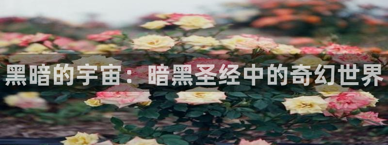 动漫天堂.cc：黑暗的宇宙：暗黑圣经中的奇幻世界