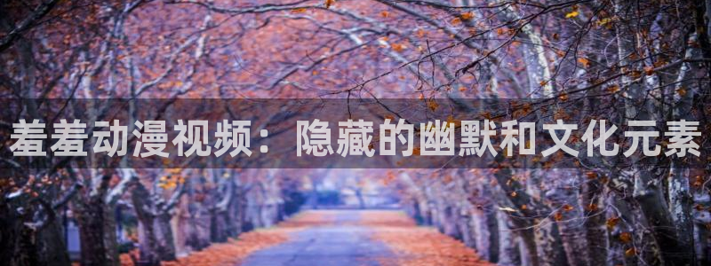 番剧推荐动漫天堂.：羞羞动漫视频：隐藏的幽默和文化元素