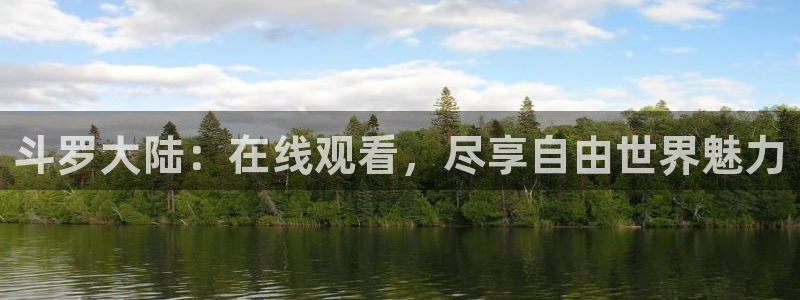 动漫天堂在线观看：斗罗大陆：在线观看，尽享自由世界魅力