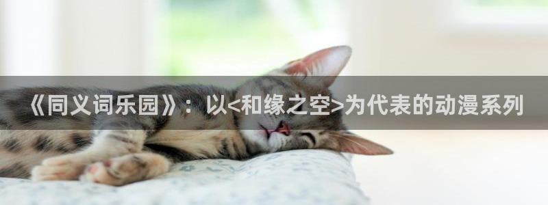 av动漫天堂网：《同义词乐园》：以<和缘之空>为代表的动漫系列