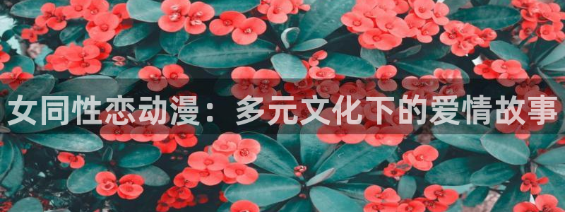 h动漫天堂：女同性恋动漫：多元文化下的爱情故事
