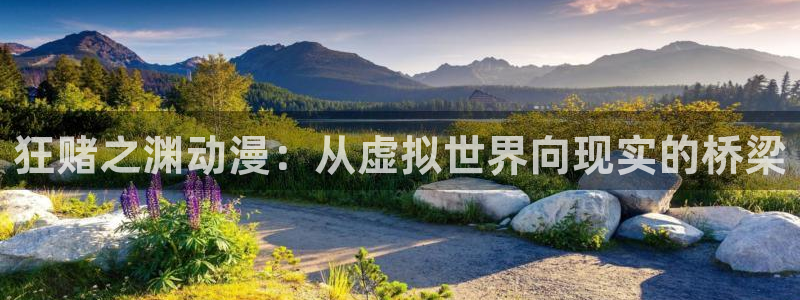 禁动漫天堂：狂赌之渊动漫：从虚拟世界向现实的桥梁