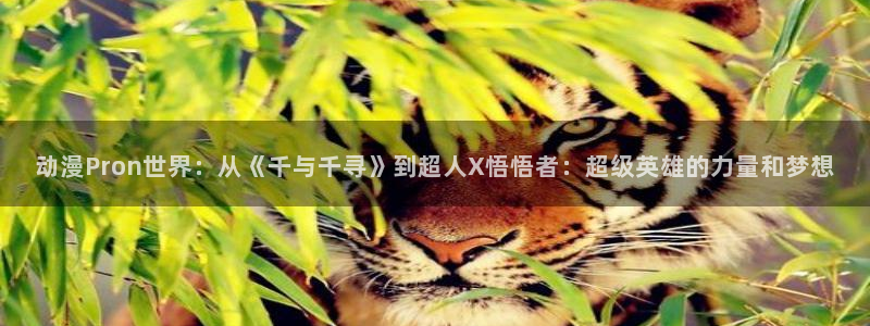 18禁动漫天堂：动漫Pron世界：从《千与千寻》到超人X悟悟者：超级英雄的力量和梦想