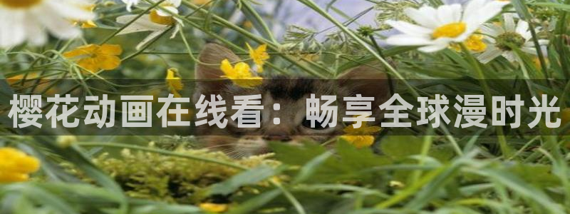 动漫天堂网