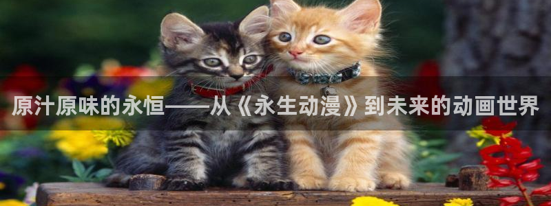 原神动漫天堂免费入口
