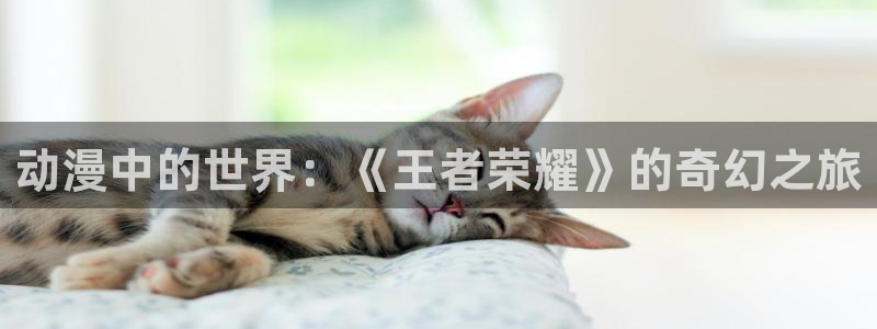 动漫天堂岛