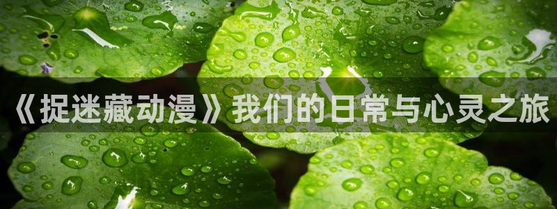 动漫天堂从哪下载安装