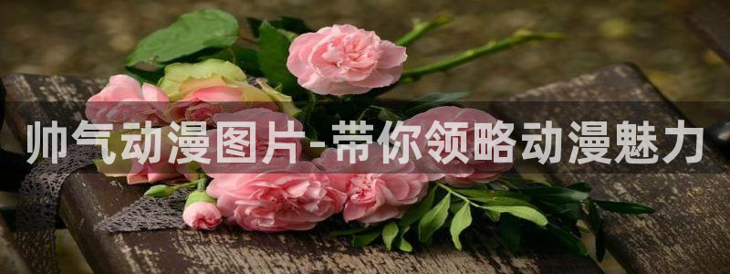 动漫天堂91