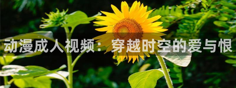 动漫天堂免费下载