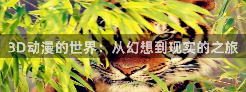 18禁动漫天堂