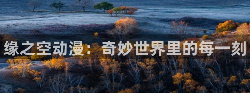 动漫天堂岛
