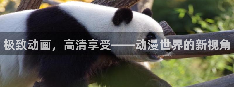 免费动漫天堂之吻
