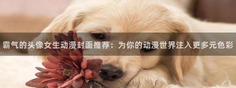 av动漫天堂网