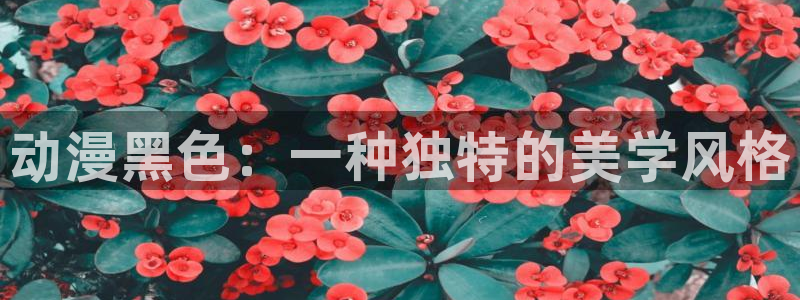 coco动漫天堂