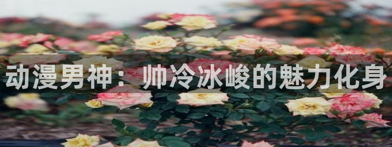 动漫天堂网