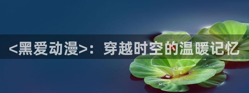 动漫天堂.cc：<黑爱动漫>：穿越时空的温暖记忆