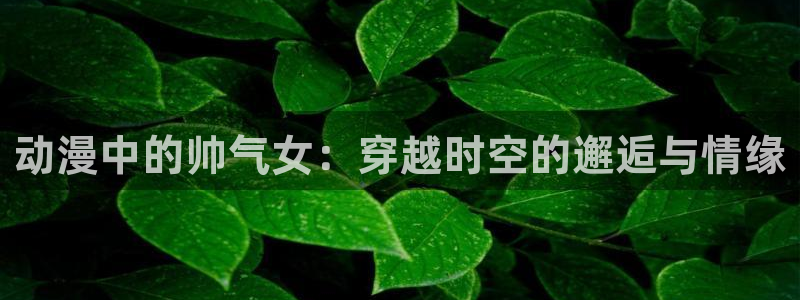 男人动漫天堂在线：动漫中的帅气女：穿越时空的邂逅与情缘