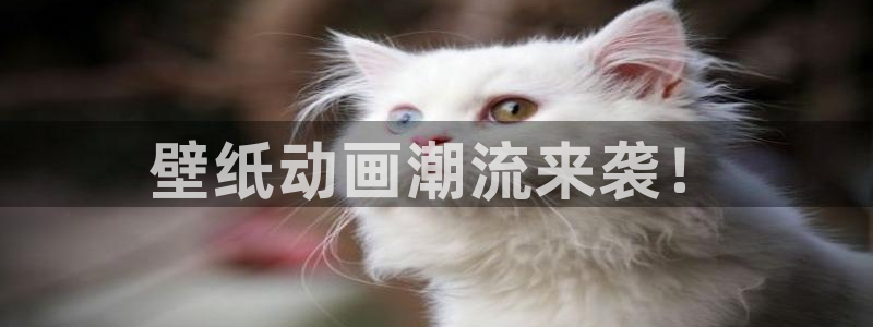 动漫天堂电影：壁纸动画潮流来袭！