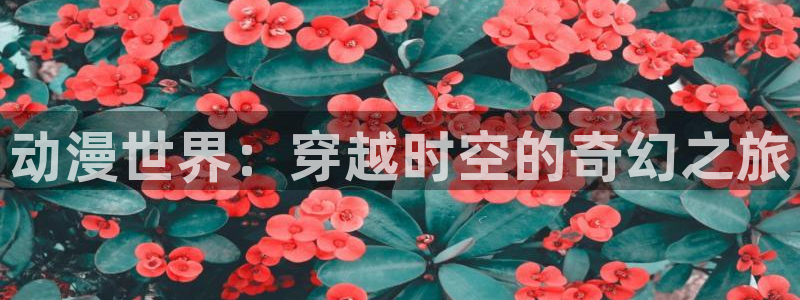 91动漫天堂：动漫世界：穿越时空的奇幻之旅